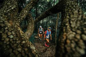 BIB: 
                            <button type="button" onclick="openModal(25670361)" class="btn btn-primary btn-sm float-right btn-popup" data-toggle="modal" data-target=".modal-high-quality">
                        <i class="fas fa-shopping-cart"></i> Add to Cart
                    </button>
                                            <button type="button" onclick="isThisMe(25670361, true)" class="btn btn-success btn-sm float-right btn-popup btn-isme hidden" data-toggle="tooltip" data-placement="bottom" title="นี่คือรูปของคุณใช่ไหม คลิกที่นี่เพื่อเอาเข้าอัลบั้ม">
                        <i class="fas fa-plus"></i> Add to album
                    </button>
                    <button type="button" onclick="isThisMe(25670361, false)" class="btn btn-warning btn-sm float-right btn-popup btn-isnotme hidden">
                        <i class="fas fa-ban"></i> Remove from album
                    </button>